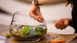 A woman crafts a small terrarium in a large glass planter.